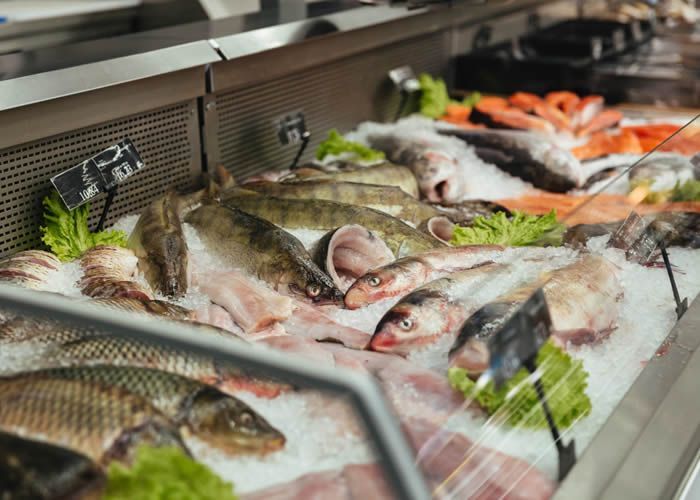 Muebles de acero inoxidable para pescaderías y carnicerías